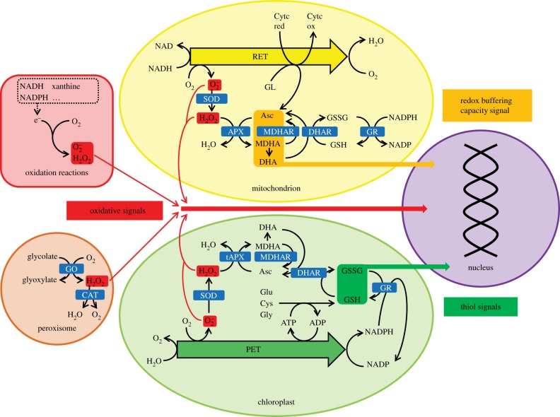 Figure 1.