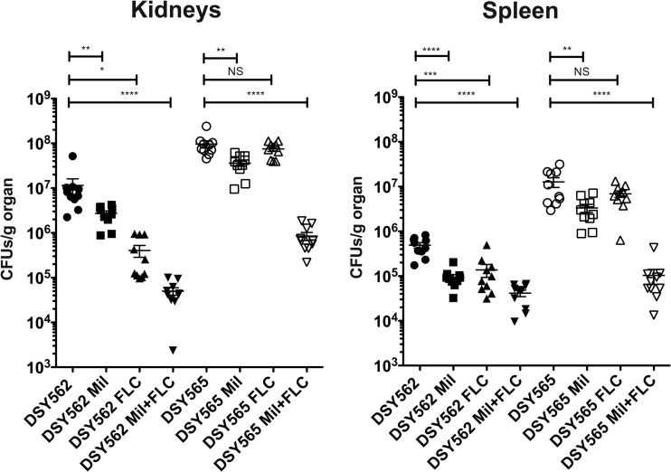 Fig 6