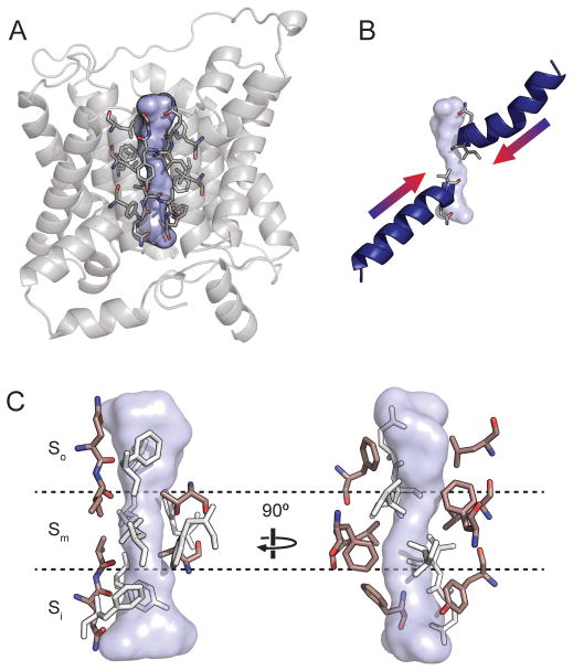 Figure 5.3