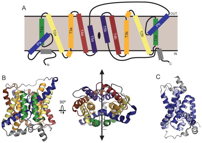 Figure 5.2