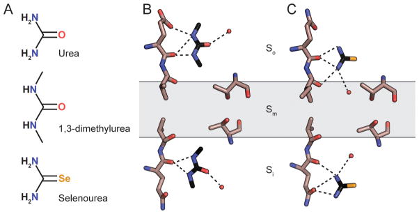 Figure 5.4