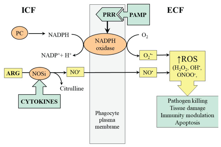 Fig. 2