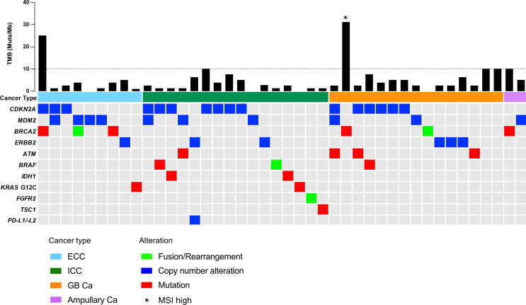 Figure 3