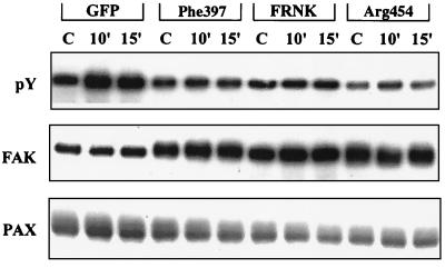 FIG. 6