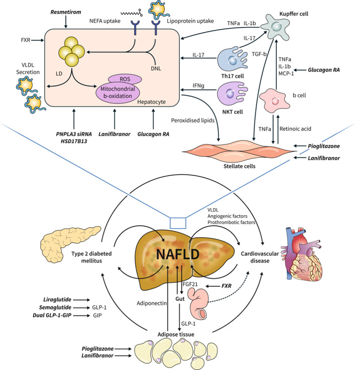 FIGURE 4