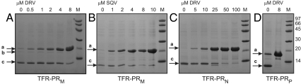 Fig. 3.