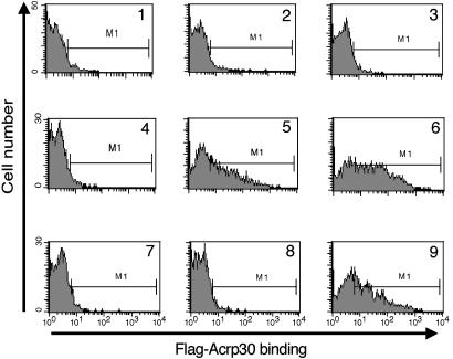 Fig. 3.