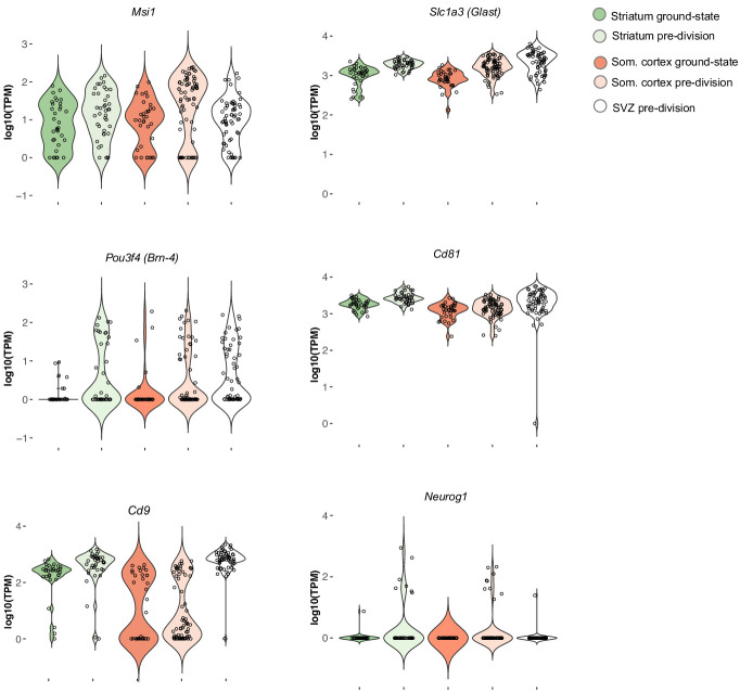 Figure 5—figure supplement 1.