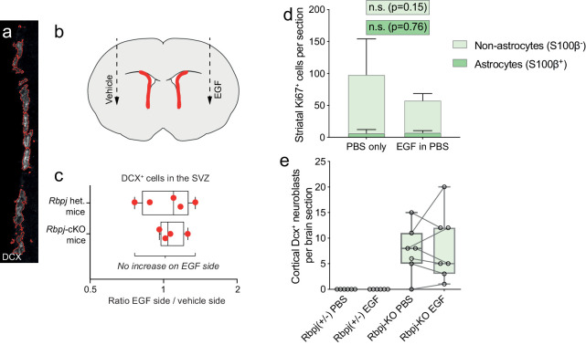 Figure 6—figure supplement 1.