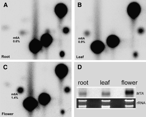 Figure 5.