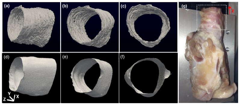 Fig. 7