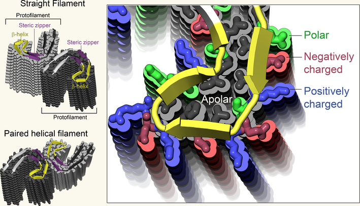 Figure 1 |