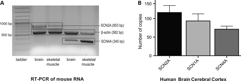 Figure 3.