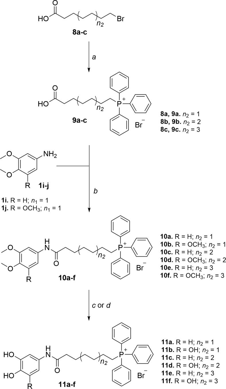 Scheme 3