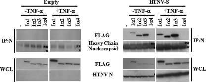 FIG. 5.