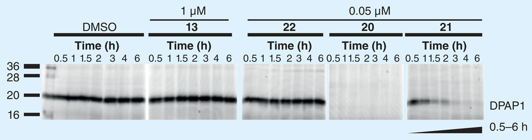 Figure 10