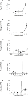 Figure 1—figure supplement 1.