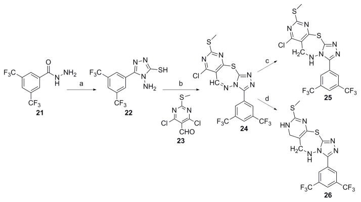 Scheme 5