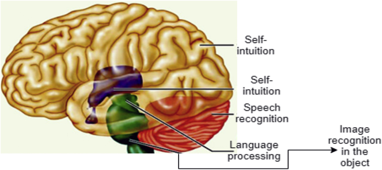 Fig. 1