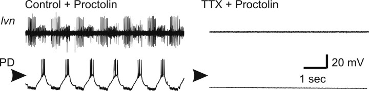 Figure 7.