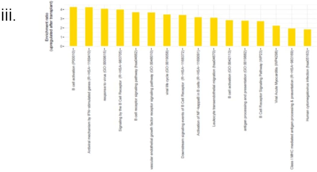 Figure 6: