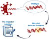 Graphical Abstract