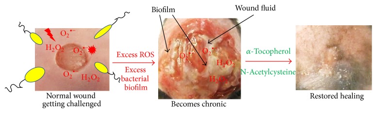 Figure 9