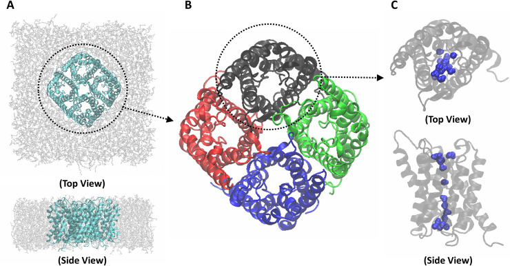 Fig 1