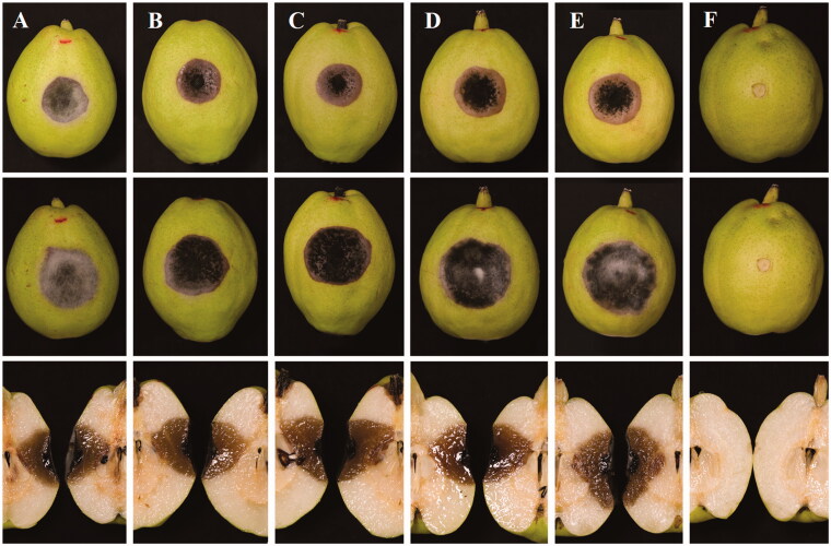 Figure 2.