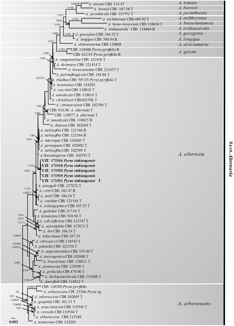 Figure 3.