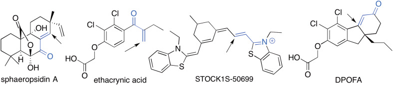 Fig. 10