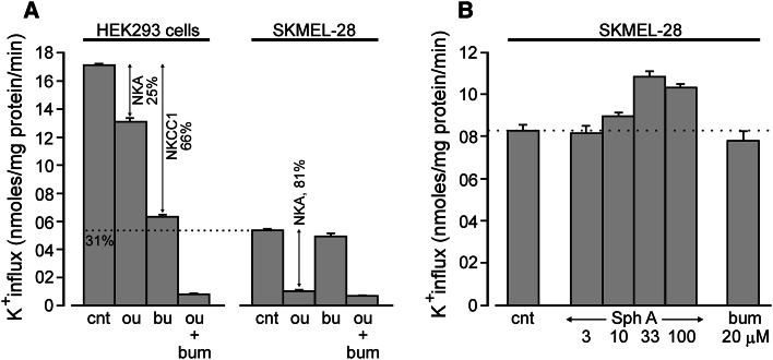 Fig. 7