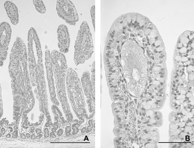 Fig. 10.