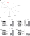 Fig 7