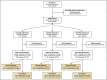 Supplementary Figure 1