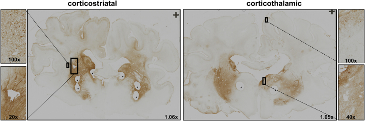 Figure 4