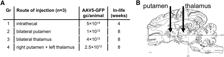 Figure 1