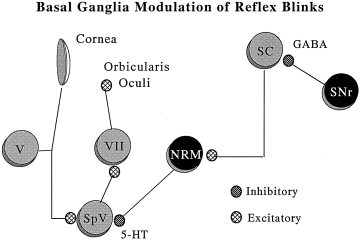 Fig. 11.