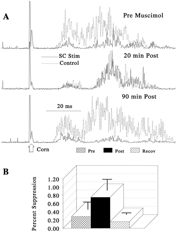 Fig. 9.