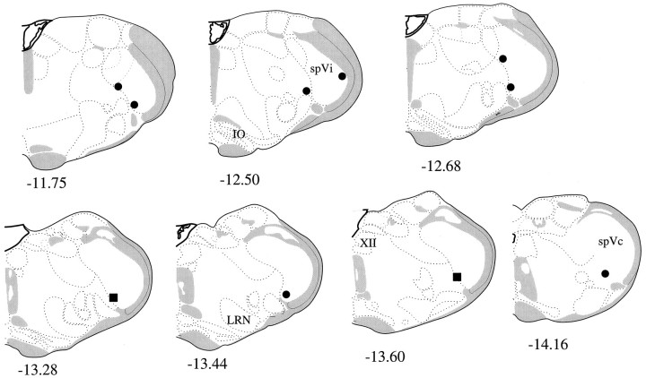 Fig. 8.