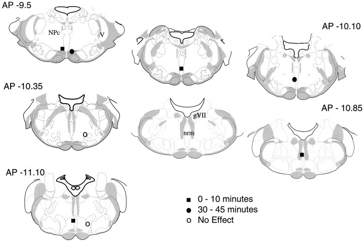 Fig. 10.