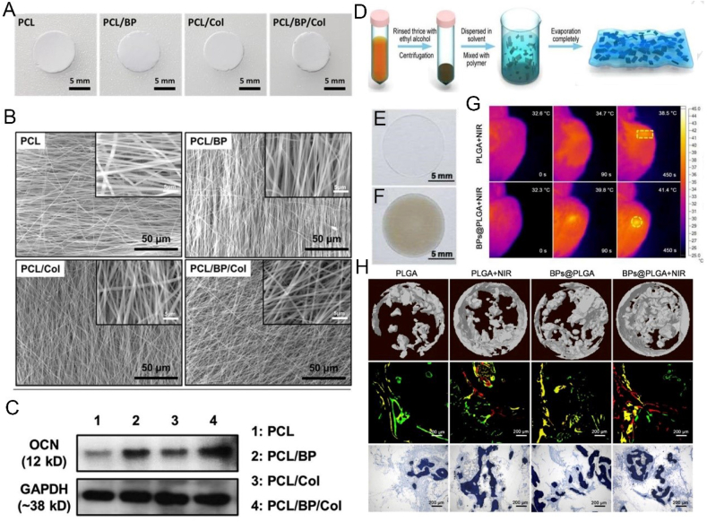 Fig. 12