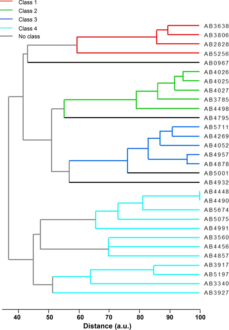 FIG 1