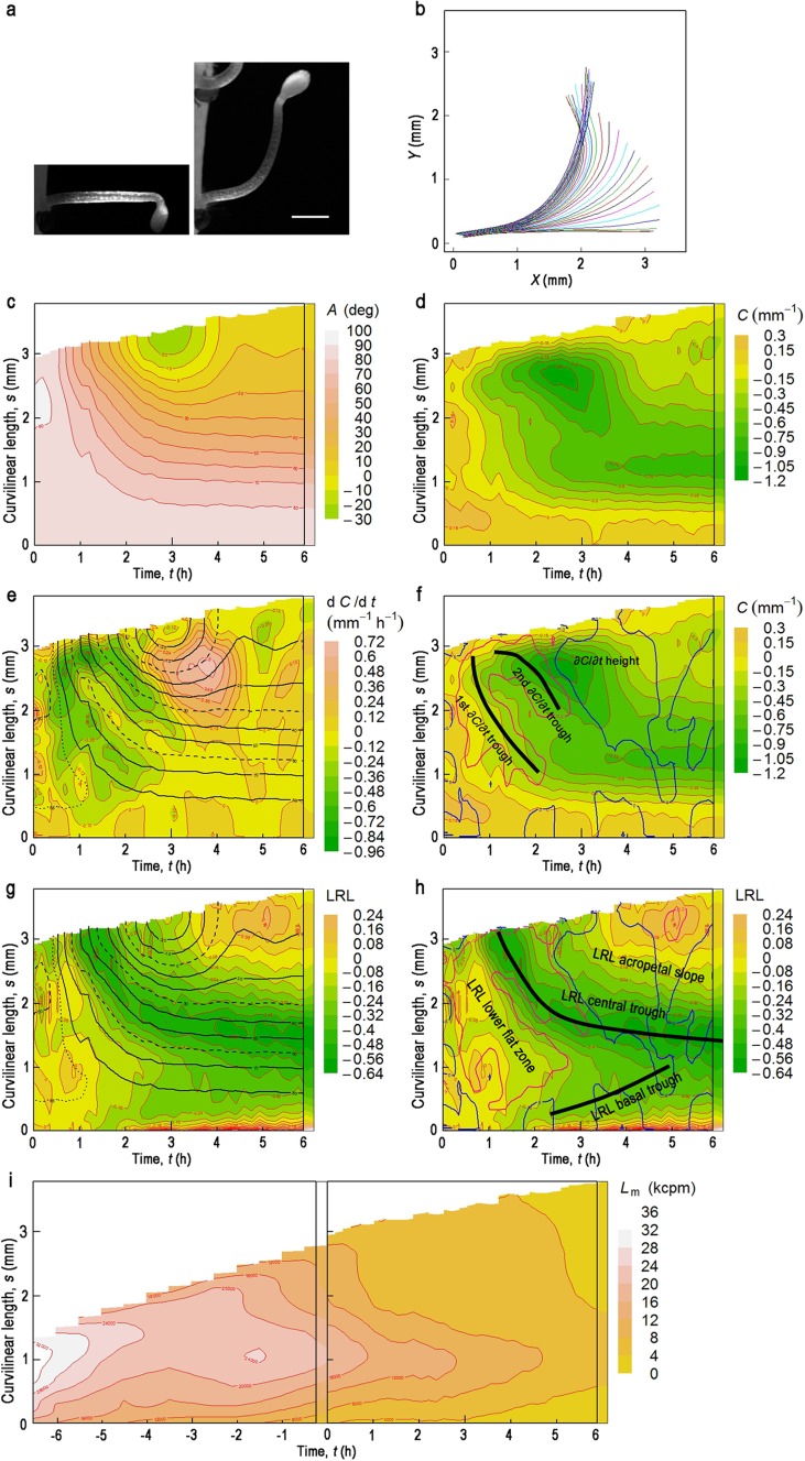 Fig. 2