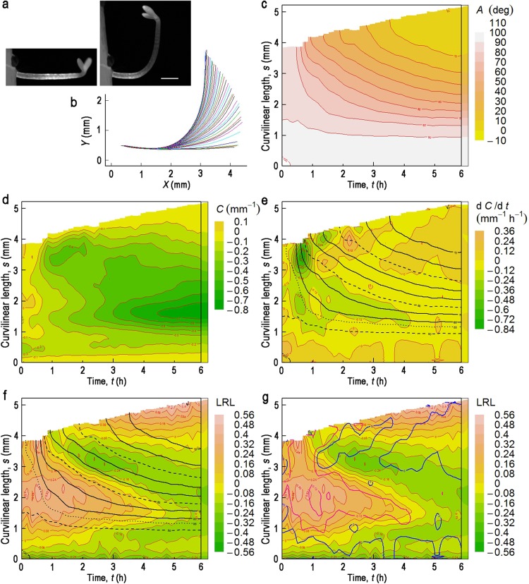 Fig. 3