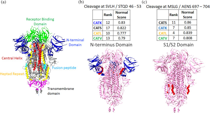 FIGURE 3