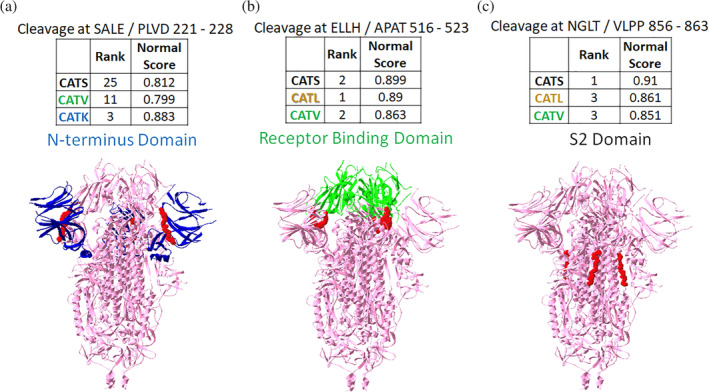 FIGURE 4