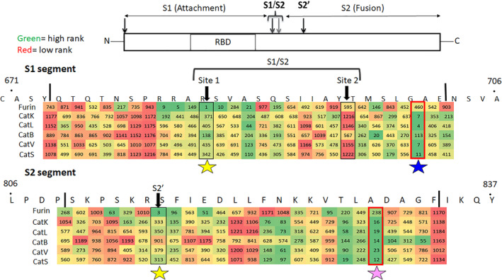 FIGURE 2