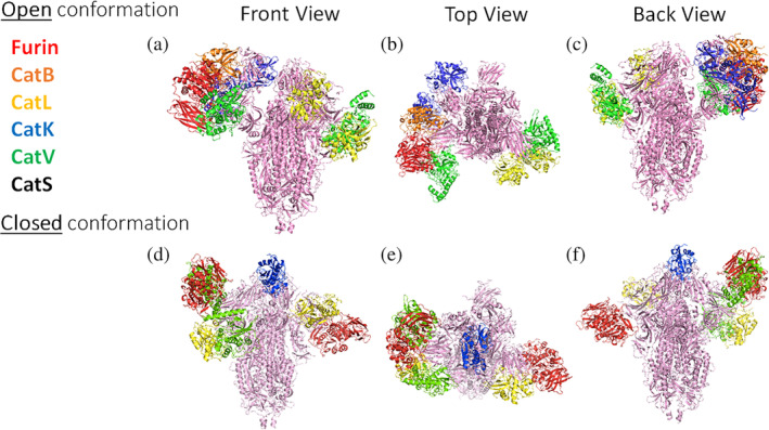 FIGURE 1