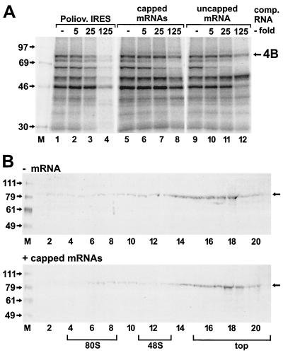 FIG. 6.